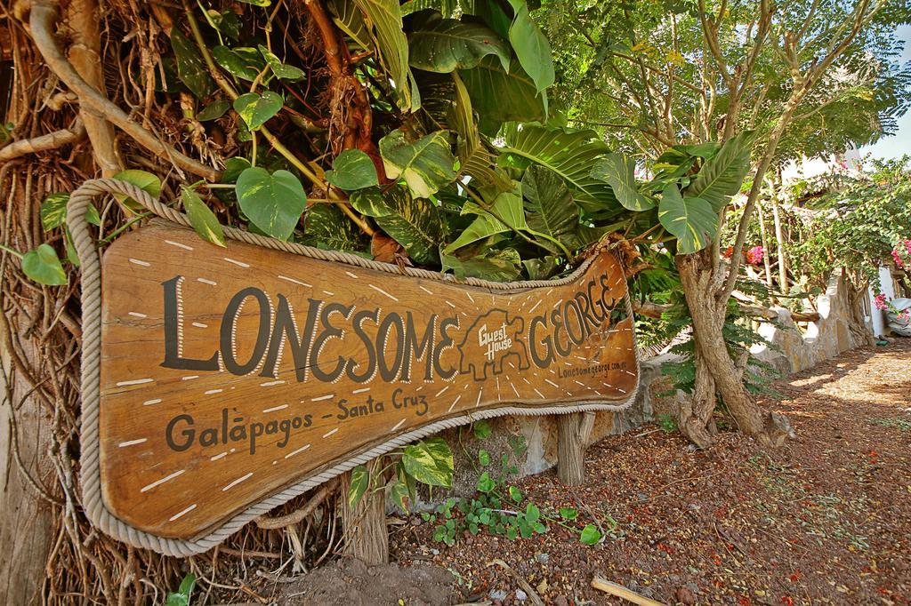 Lonesome George Ecolodge ปูแอร์โตอาโยรา ภายนอก รูปภาพ