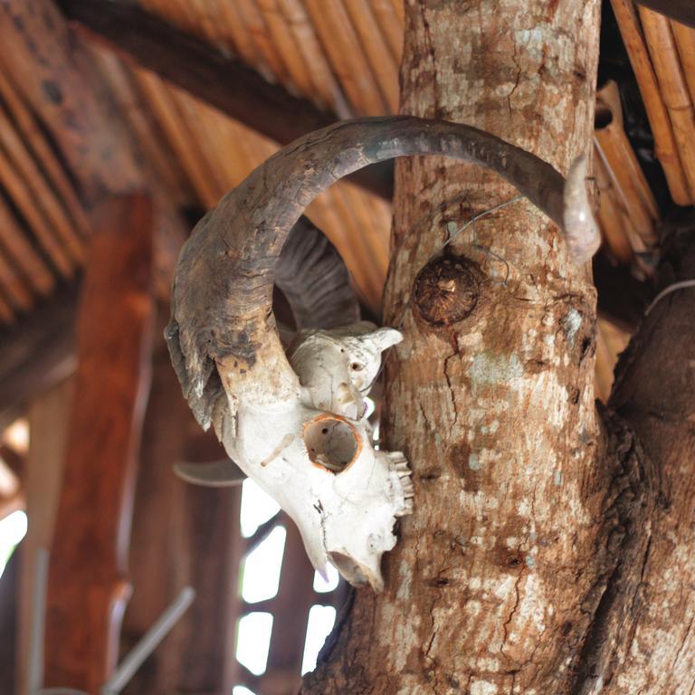 Lonesome George Ecolodge ปูแอร์โตอาโยรา ภายนอก รูปภาพ